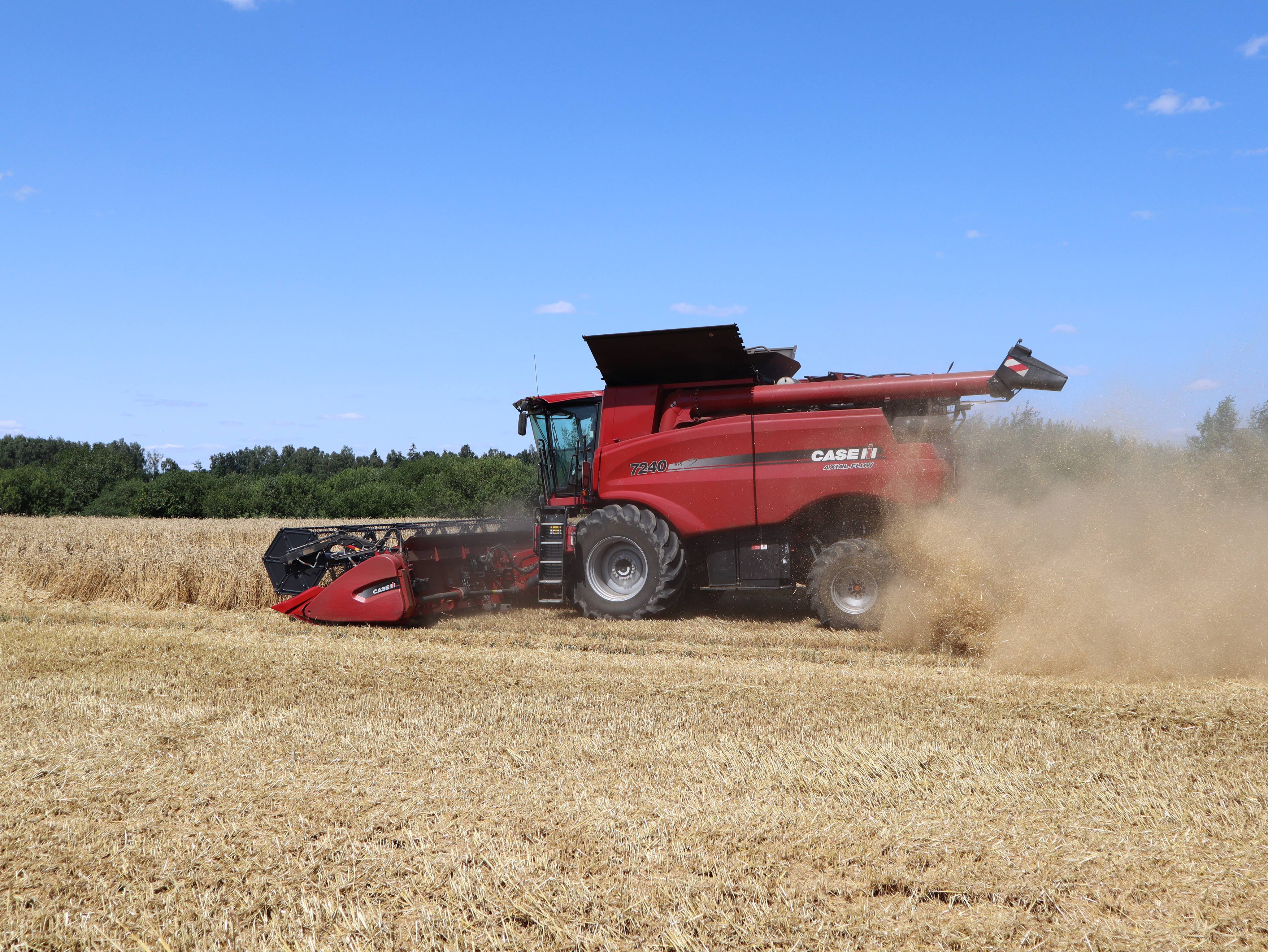 Młócenie zbóż i kukurydzy